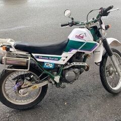 店頭価格188,000円　YAMAHA ヤマハ　セロー 225 4JG　 実動車　リサイクルショップ宮崎屋　住吉店25.8.1の画像