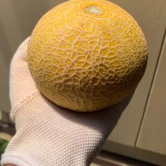 マスクメロン 小サイズ３個 まとめて ※訳あり お買い得 の画像
