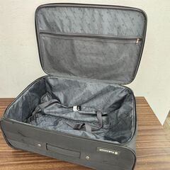 【差し上げます】PLATINIUM キャリーバッグ キャリーケース スーツケース グレー系の画像