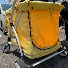 お散歩カートの画像