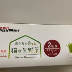 おうちで育てる猫の生野菜(猫の草)の画像