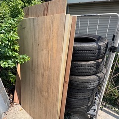 木の画像