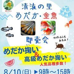 8月10日(日) 松本市梓川 清流の里 メダカ・金魚即売会