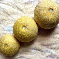 マスクメロン 中サイズ３個まとめて ※訳あり お買い得の画像