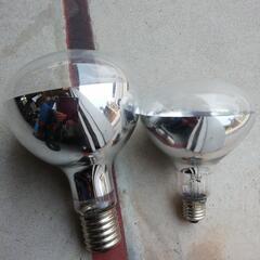 投光器の電球の画像