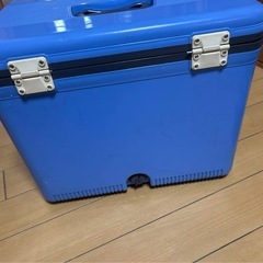 美品　PLUKY 釣り用クーラーボックス 青の画像