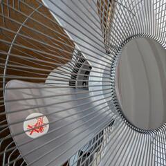 美品！ほぼ未使用！　扇風機の画像