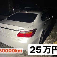 【外国直通相場🔥】あなたのお車の廃車買取価格はいくら！？