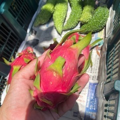 【無農薬】島バナナ　他の画像