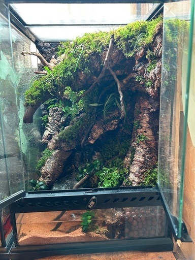 グラステラリウム3045レイアウト品2