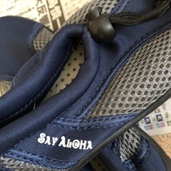 （お話し中）靴（水中用）の画像