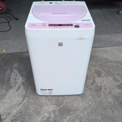 洗濯機 mou 美品】2023年 Haier全自動電気洗濯機 (Pika) 武蔵溝ノ口の生活