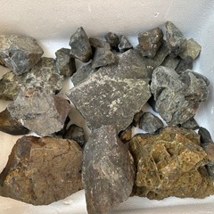 アクアリウム用　流木&石の画像