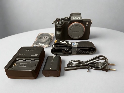 SONY α7S III ボディ ILCE-7SM3 Sony Alpha a7S III Mirrorless Digital Camera | ILCE7SM3 | Sony 