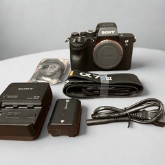 SONY α7S III ボディ ILCE-7SM3の画像