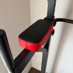 WASAI(ワサイ) 懸垂 ぶら下がり健康器 懸垂マシン　MK580Aの画像