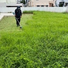 草刈り・剪定できる方！