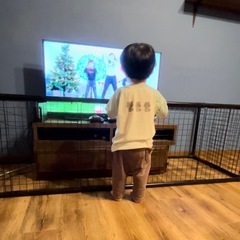 ベビーゲート ベビーフェンス テレビ前 ガード テレビガード 黒色の画像