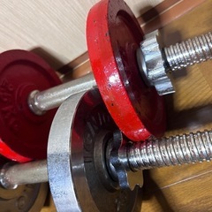 ダンベル イグニオ 約7.5kg 2個の画像