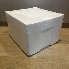 発泡スチロール　発泡容器　1個　キャンプ　BBQ　釣り　の画像