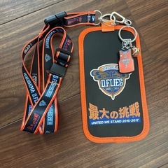 広島ドラゴンフライズ選手サイン入グッズセットの画像