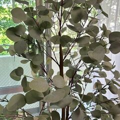 観葉植物　フェイク　約180センチ　大型　二重の鉢つきですの画像