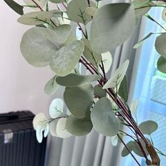 観葉植物　フェイク　約180センチ　大型　二重の鉢つきですの画像