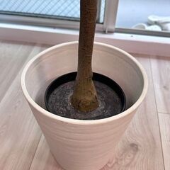 観葉植物　フェイク　約180センチ　大型　二重の鉢つきですの画像
