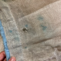 蚊帳
の画像