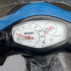 スズキレッツブルーの画像