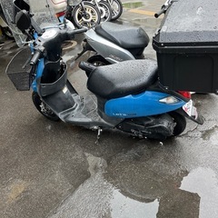 スズキレッツブルーの画像