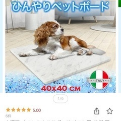 ペット用大理石マット
の画像