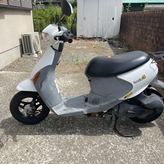 再出品！実働原付きバイクレッツ4の画像