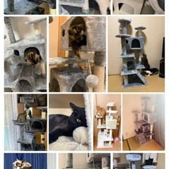 キャットタワーの画像