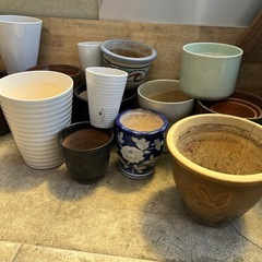 鉢．花瓶の画像