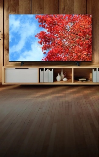 【新品・未開封】REGZA C350M 4K 液晶テレビ