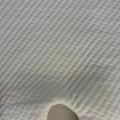 Yunny Sleep ユニースリープ　バンブーカバー　接触冷感カバーの画像