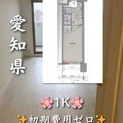 初期費用ゼロ　愛知県名古屋市　家賃62000円　ペット相談…