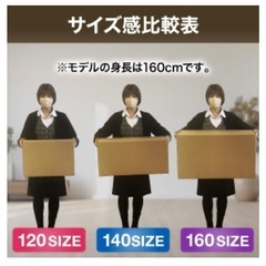 【決まり】【無料】160サイズ　ダンボール　5枚の画像