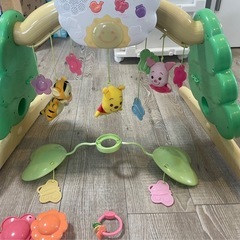 旧型　プーメリー
の画像