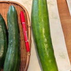 ８／1朝どれ野菜セットの画像