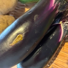 ８／1朝どれ野菜セットの画像