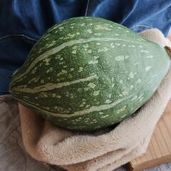 かぼちゃ　ロロンカボチャ約1900グラムの画像