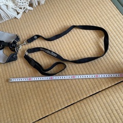 犬用リードの画像