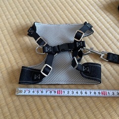 犬用リードの画像