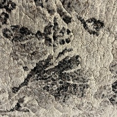 70%OFF　230×160 カーペット大一商事　の画像