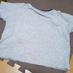 POLO　Ｔシャツ　１００の画像