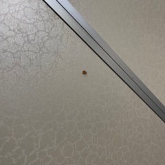 無料！アウトドアテーブルの画像