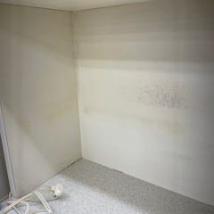 ★リユースのサカイ幸手店★SJ9963★ニトリ　食器棚　クリーニング済み の画像