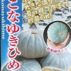 かぼちゃ　ミニカボチャ　こなゆきひめ約500g程度　の画像